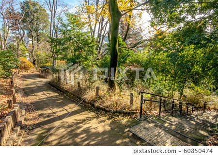 Nabeshimō Shoto Park 60850474