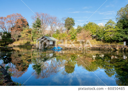 Nabeshimō Shoto Park Nabeshimō Shoto Park 60850485
