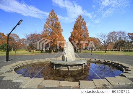 Metasequoia in Tokyo Metropolitan Toneri Park 60850731
