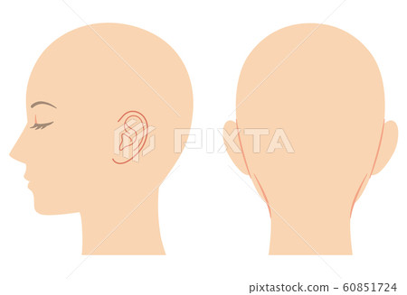 Head profile 60851724