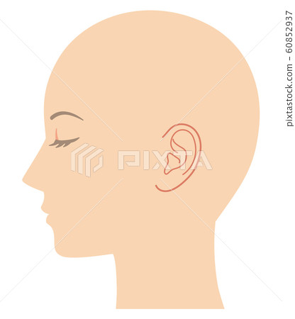 頭部輪廓 60852937