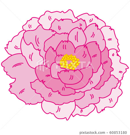 按鈕花可愛圖 60853180