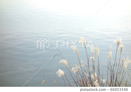 水庫水庫 60853598