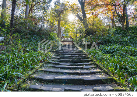 [Kanagawa Prefecture] Kamakura Jochoji Sanmon 60854563