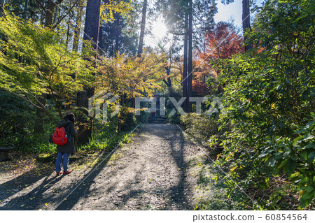 [Kanagawa Prefecture] Kamakura Jochoji Sanmon 60854564