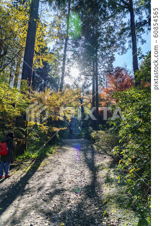 [Kanagawa Prefecture] Kamakura Jochoji Sanmon 60854565