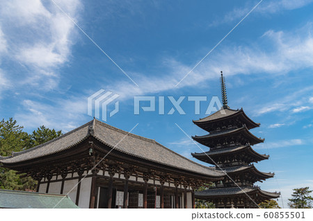 奈良興福寺五層寶塔 60855501