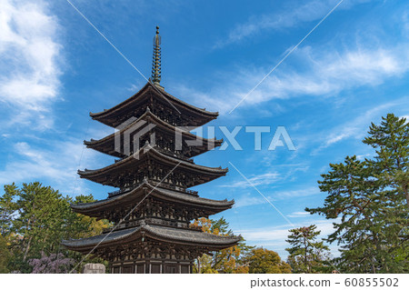 奈良興福寺五層寶塔 奈良興福寺五層寶塔 60855502