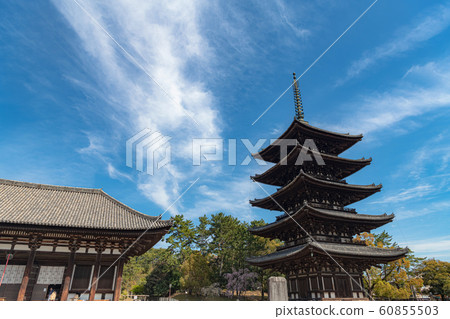奈良興福寺五層寶塔 奈良興福寺五層寶塔 60855503