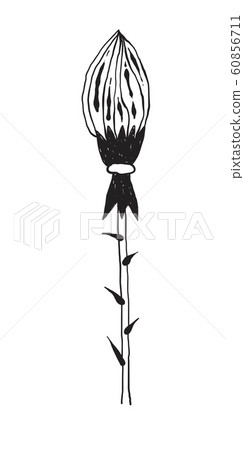 Vector Unreal Flower Vector Unreal Flower 60856711