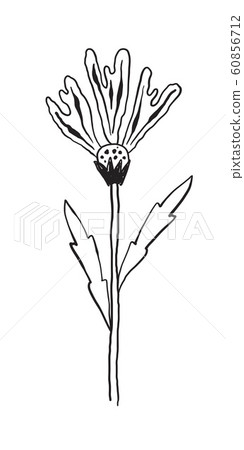 Vector Unreal Flower Vector Unreal Flower 60856712
