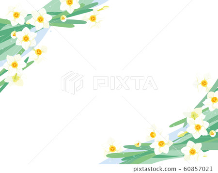 水仙 水仙 60857021