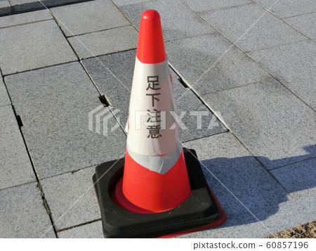 Foot note Foot note 60857196