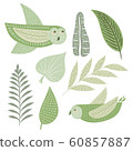 Vector Forest Design Elements 60857887