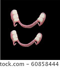 A removable denture in abstract style on light background. Tooth treatment concept. Design element 60858444