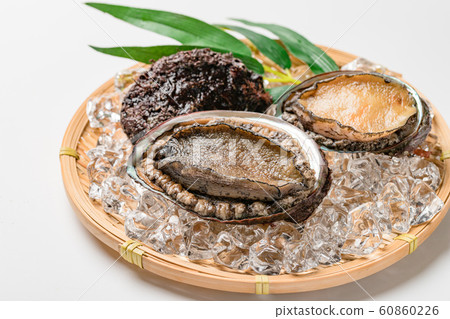 Abalone Abalone 60860226