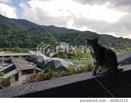 洪塘 洪塘 60862010