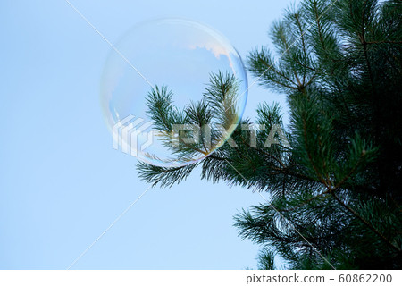 one alone transparent soap bubble on blue sky minimal with tree one alone transparent soap bubble on blue sky minimal with tree 60862200