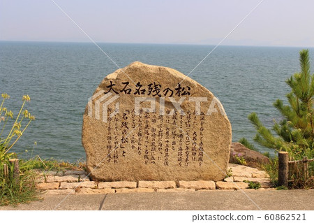 大石的殘余松 大石的殘余松 60862521