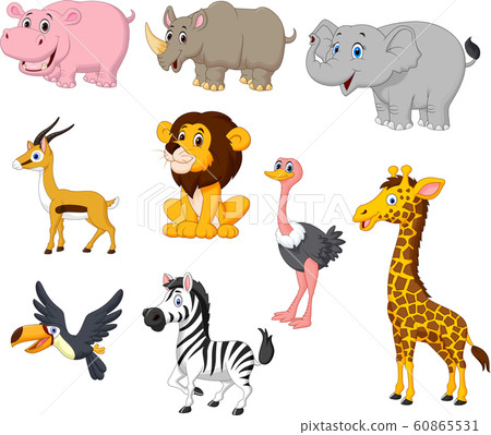 animal, bird, cartoon 60865531