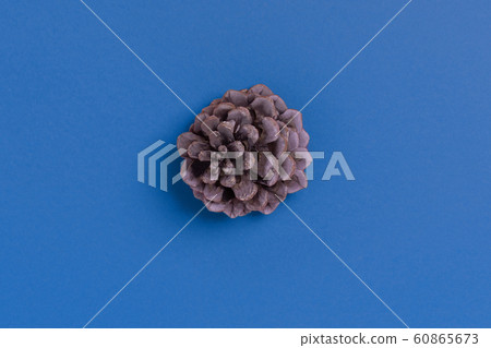 Pine cone on blue background. Top view, flat lay, Pine cone on blue background. Top view, flat lay, 60865673