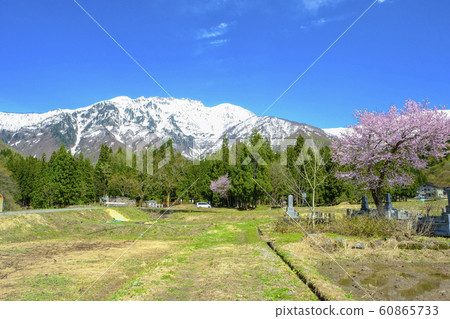 Hakkaisan在春天 60865733