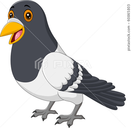 Cartoon funny pigeon isolated on white - Stock Illustration [60865803] -  PIXTA