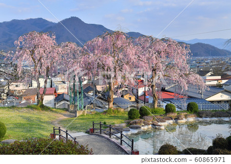 山形縣上山市月岡公園和上山溫泉櫻花 山形縣上山市月岡公園和上山溫泉櫻花 60865971