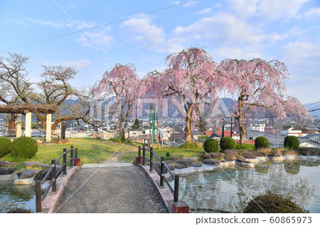 山形縣上山市月岡公園和上山溫泉櫻花 60865973