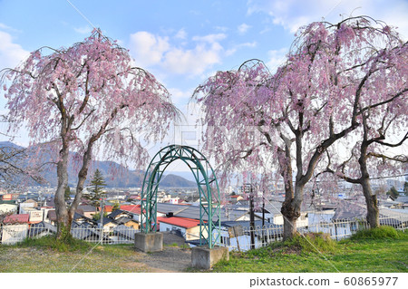 Kamiyama City, Yamagata Prefecture Tsukioka Park and Kaminoyama Onsen Cityscape Sakura Kamiyama City, Yamagata Prefecture Tsukioka Park and Kaminoyama Onsen Cityscape Sakura 60865977