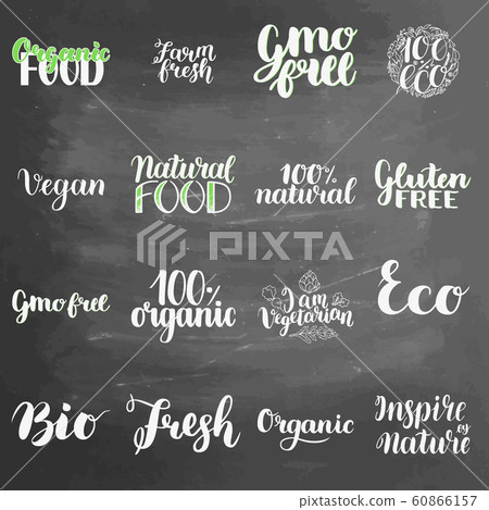 Eco concept lettering set on chalkboard background. Blackboard lettering writing handwritten text,  illustration. Logo for healthy eat bar, restaurant, shops and printing and digital products 60866157