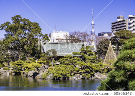 (東京)清澄花園天空樹 (東京)清澄花園天空樹 60866348