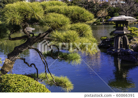 （東京）清澄花園松石燈籠 60866391