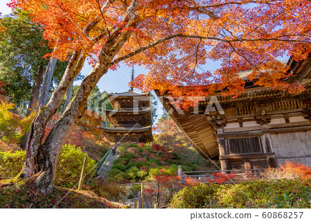 滋賀縣，海南三大山之一，美麗的紅葉的主寺和上寺寺三重塔 60868257