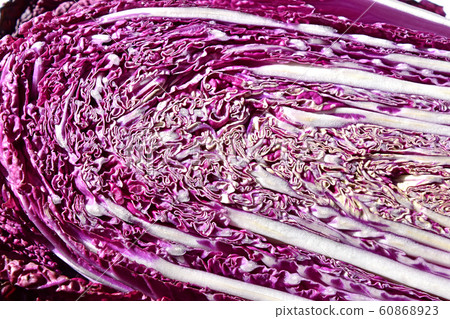 Purple Chinese cabbage 60868923