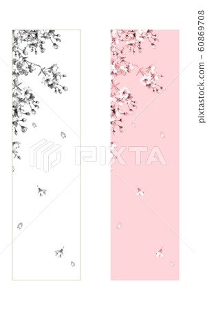 櫻花盛開 60869708