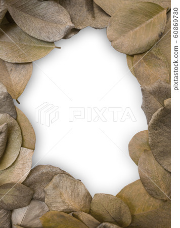 dry leaves frame on white background dry leaves frame on white background 60869780