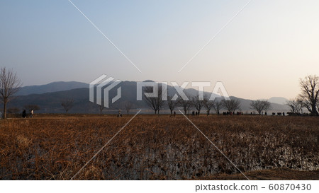 Winter head 60870430