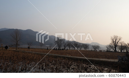 Winter head 60870443