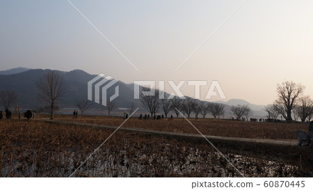 Winter head 60870445