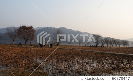 Winter head 60870447