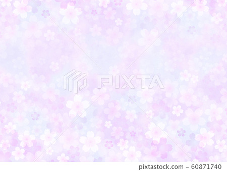 櫻花盛開 60871740