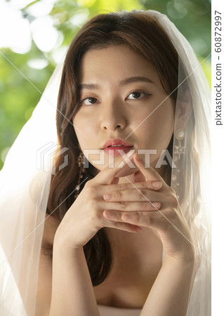Wedding Marriage Bridal Jewelry 60872997
