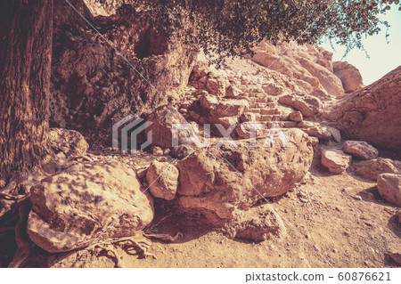 Hiking path in the nature reserve Ein Gedi, Israel. Oasis in the desert 60876621
