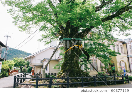 Kinehashi Bridge Tamba Sasayama Kinehashi Bridge Tamba Sasayama 60877139