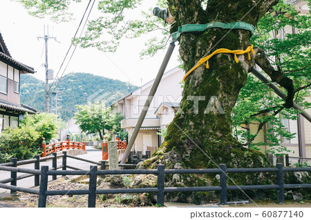 Kinehashi Bridge Tamba Sasayama 60877140