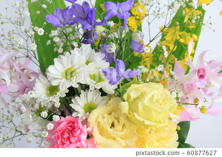 插花 插花 60877627