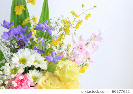 插花 60877631