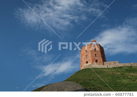 Gediminas Castle 60877781