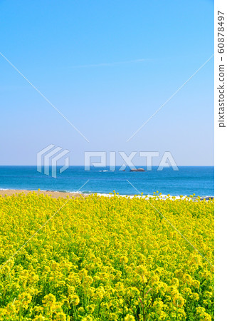 Spring Cape Irago Spring Cape Irago 60878497